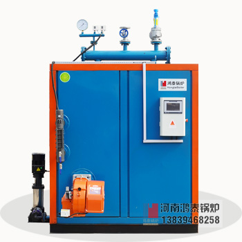 Fuel gas steam boiler